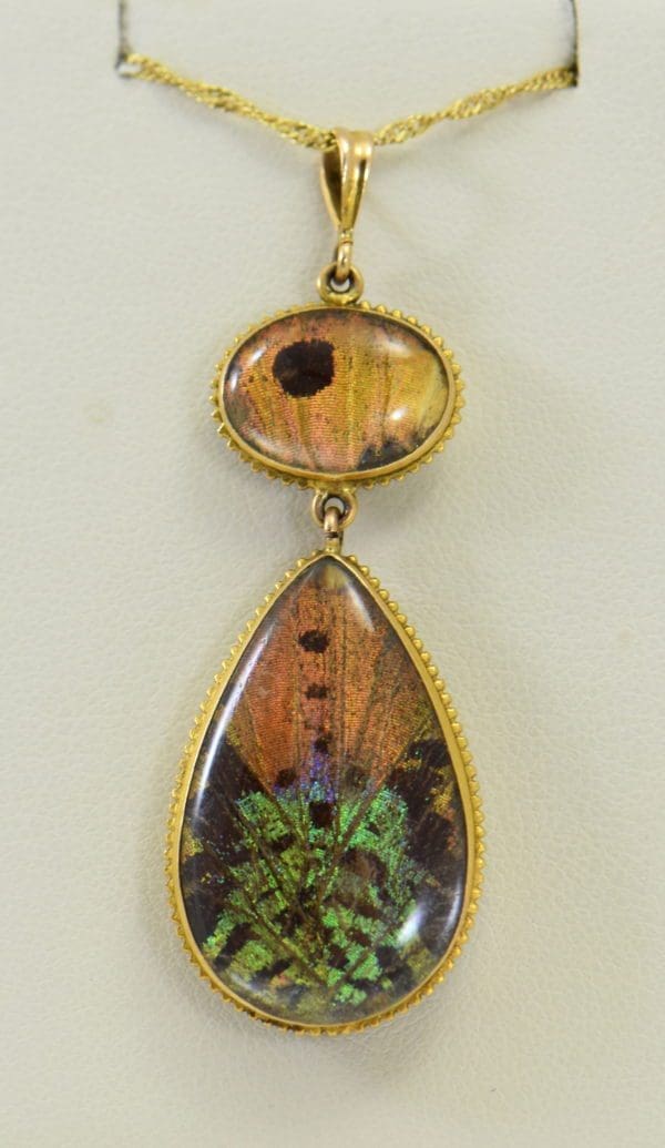 Edwardian Gold insect specimen Pendant with butterfly wing under crystal with moth 6.JPG