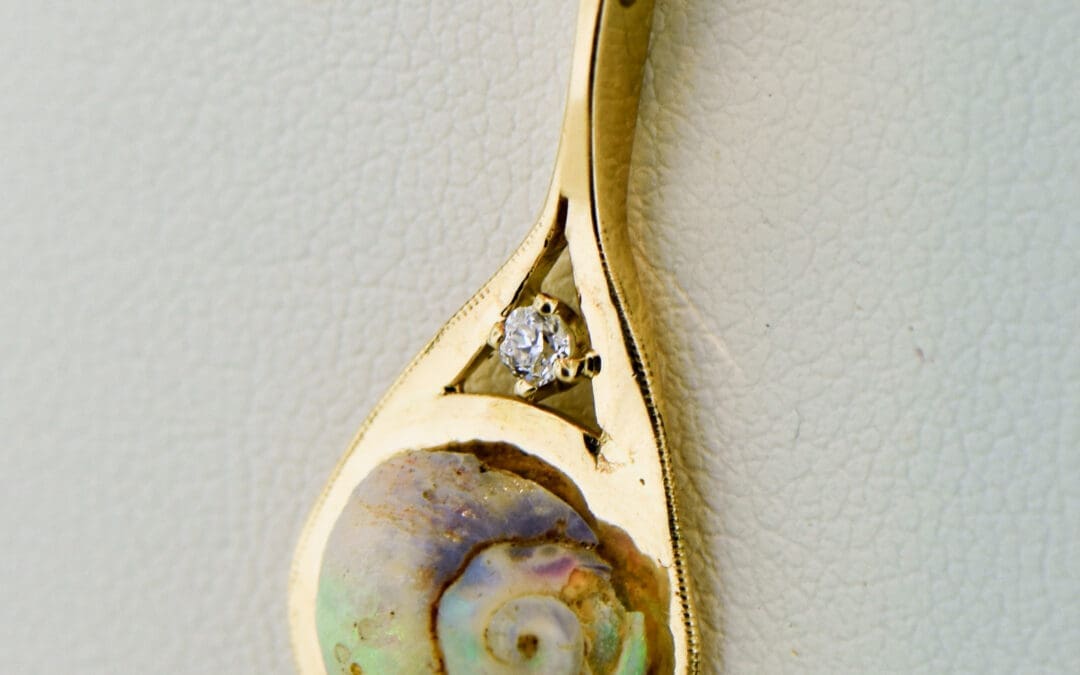 fossil opal snail set on gold pendant rare australian fossil opal