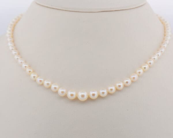 vintage graduated akoya pearl strand with cream hue 2