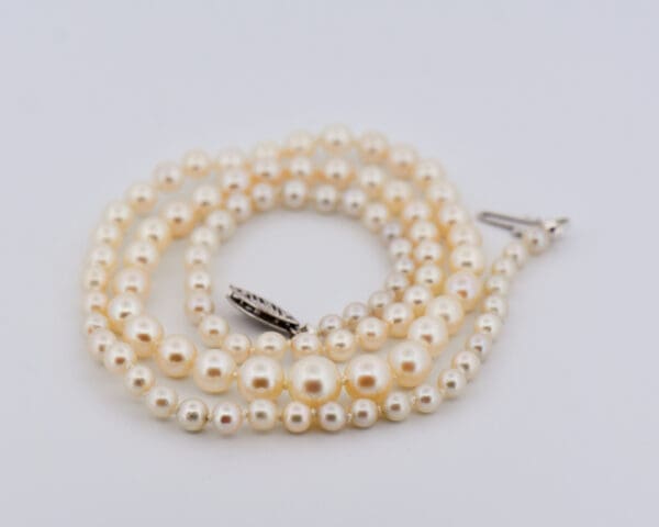 vintage graduated akoya pearl strand with cream hue